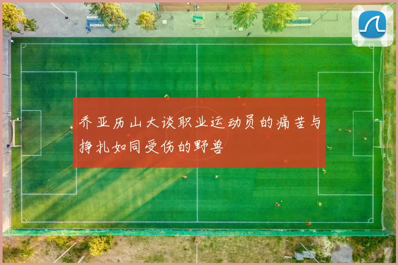 乔亚历山大谈职业运动员的痛苦与挣扎如同受伤的野兽